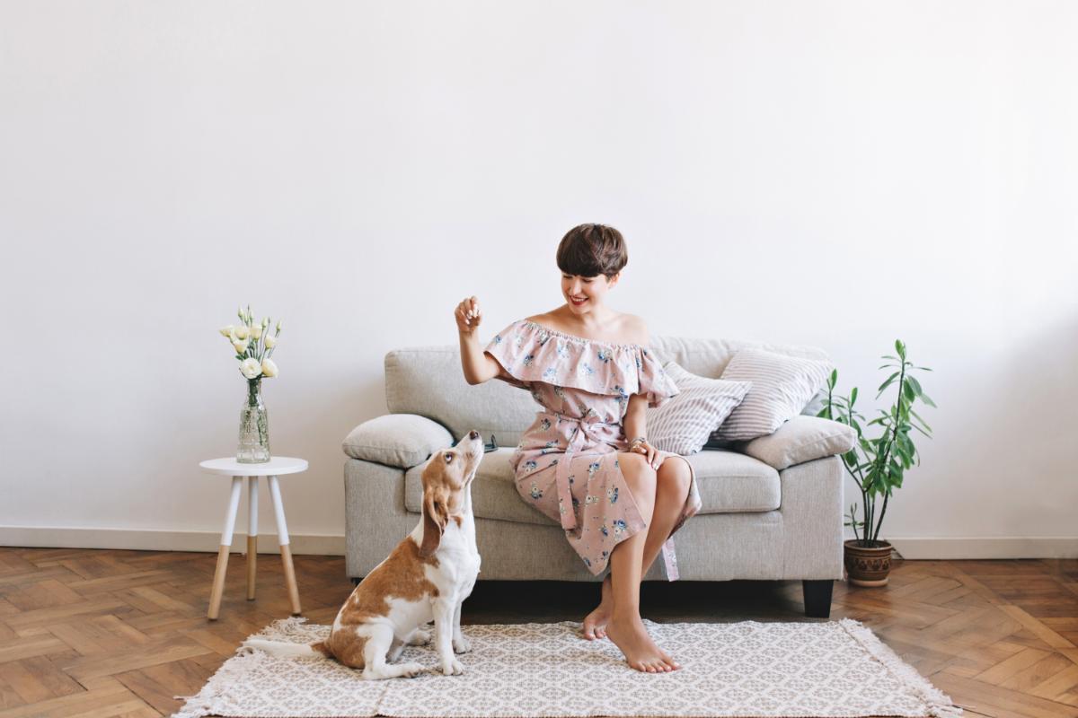 Tips to Live in Peace with a Dog in Your Apartment