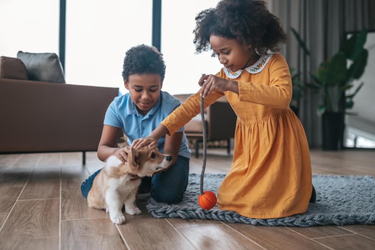 Four Simple Activities to Entertain Kids and Dogs in Your Apartment