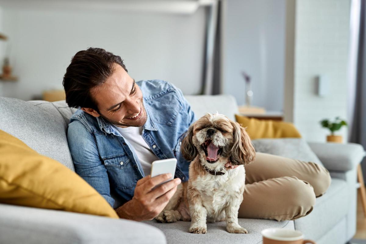 Seven Tips to Successfully Owning a Dog in an Apartment
