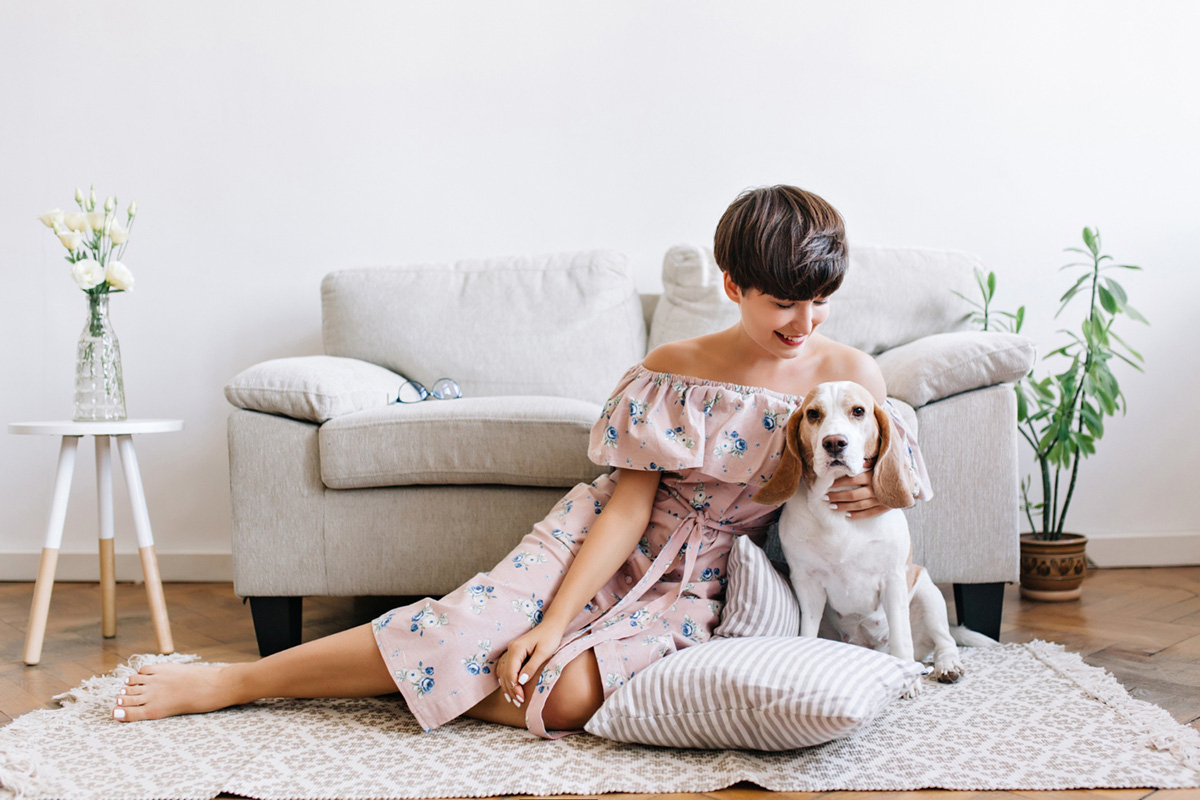 Tips on Managing Pet Hair on Furniture