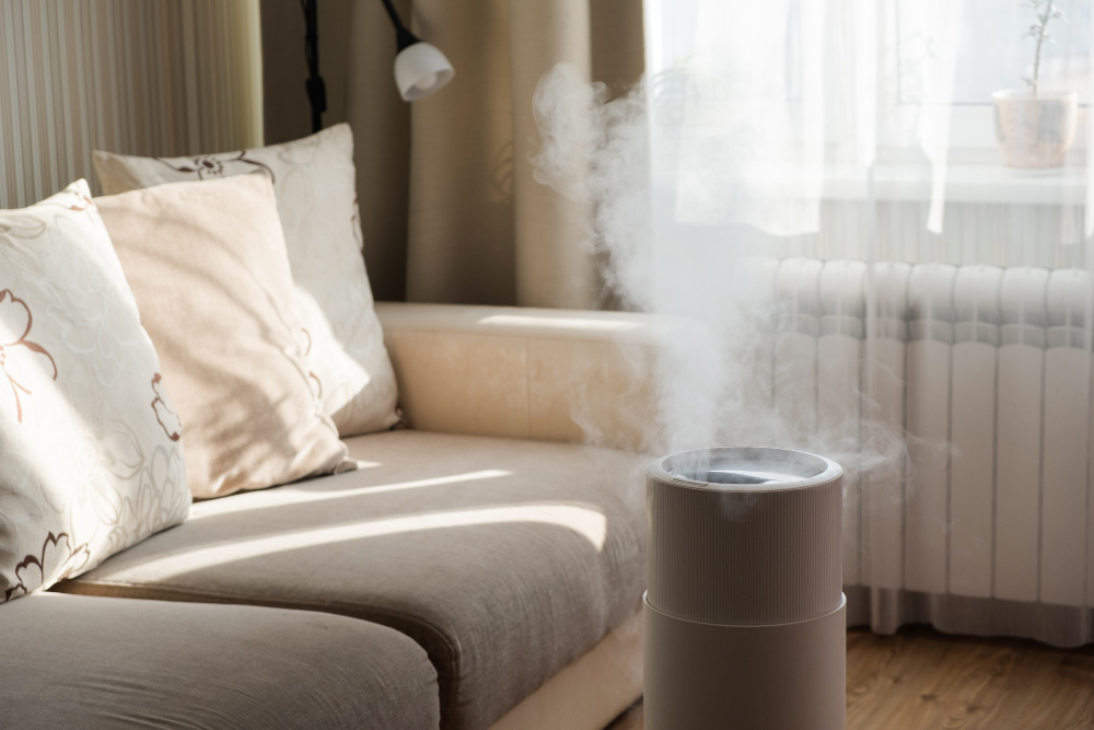 How to Improve Your Apartment’s Indoor Air Quality