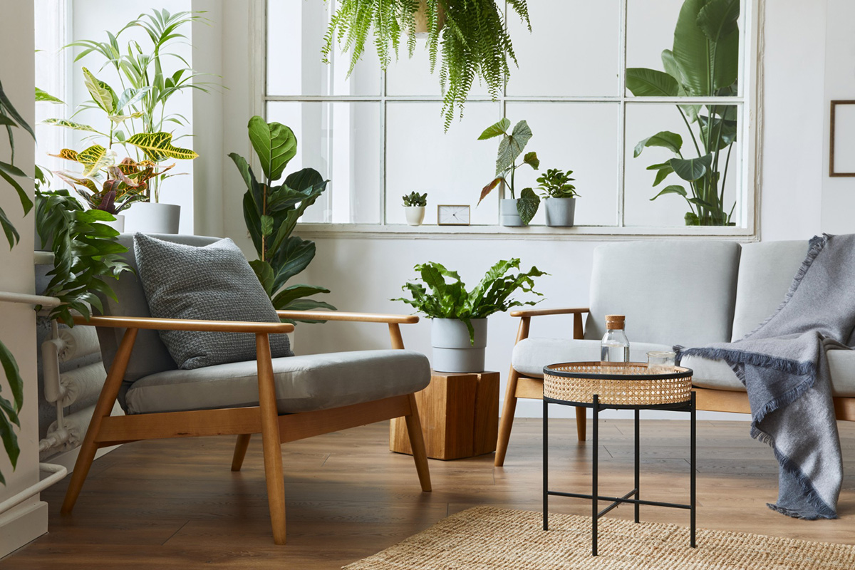 The Ultimate Guide to Low Maintenance and Gorgeous Apartment Plants