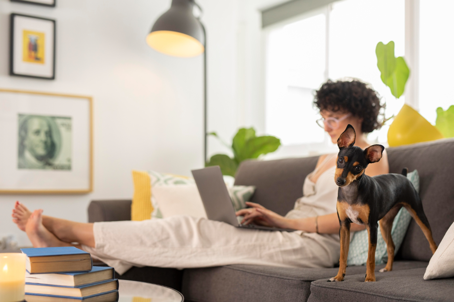 Top 5 Best Dogs for Apartment Living
