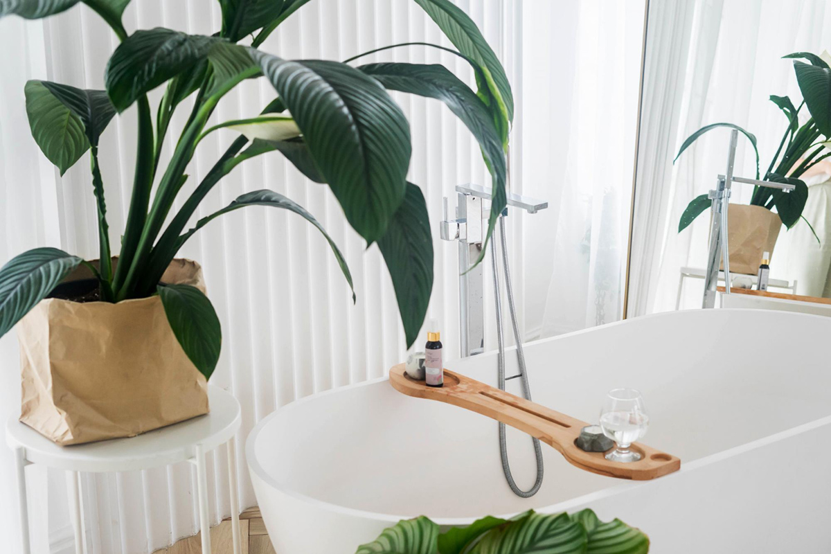 Ways to Make Your Bathroom More Sustainable and Eco-Friendly