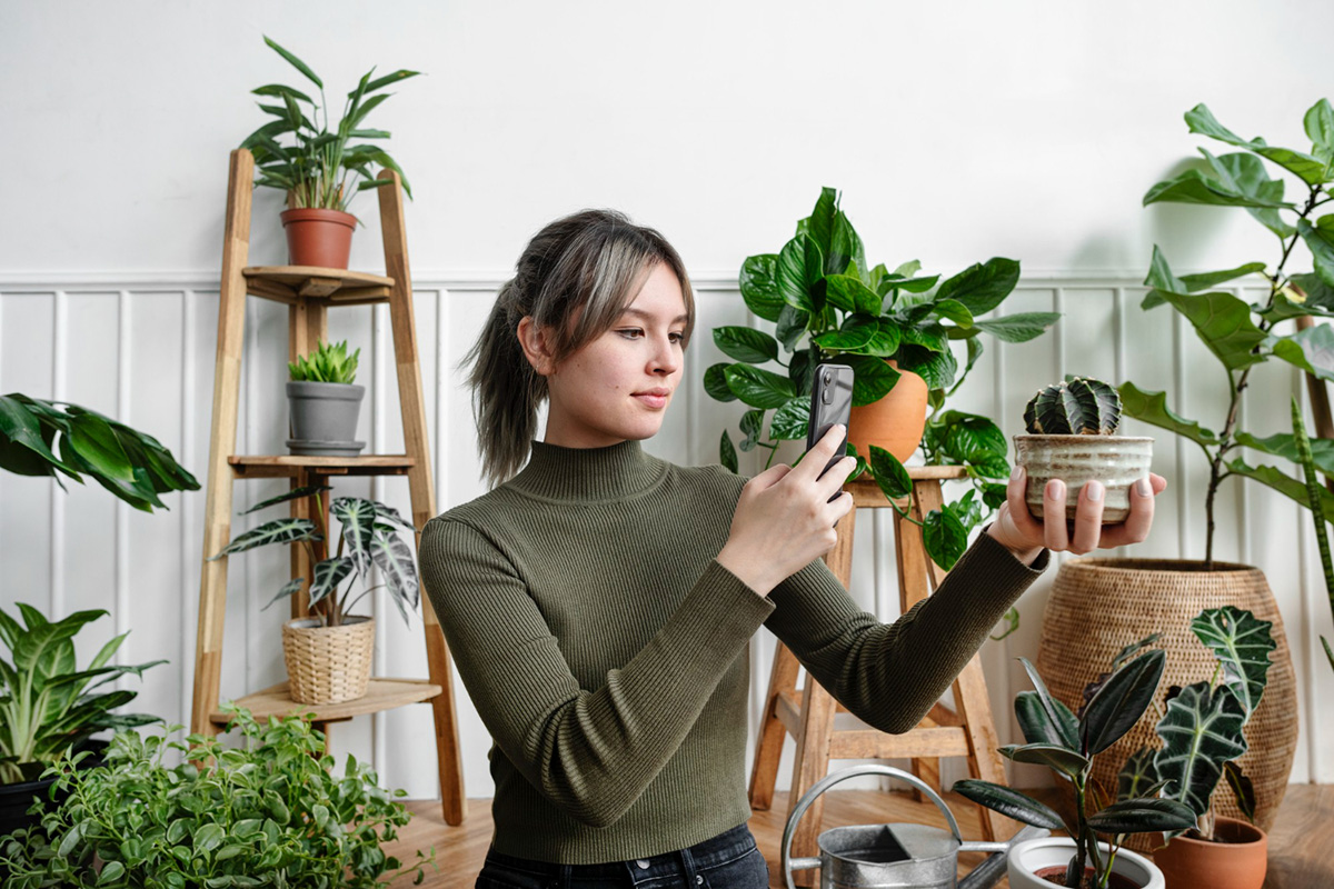 How to Grow a Garden in Your Apartment