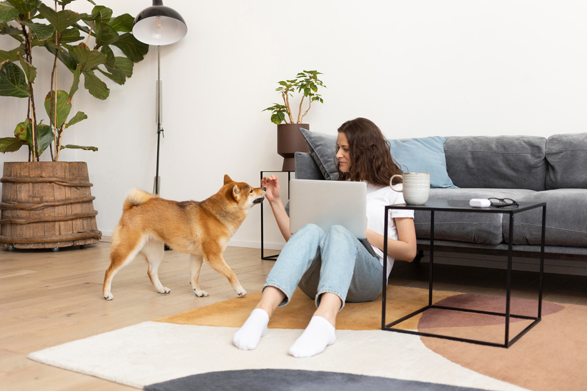 How to Prepare Your Apartment for a New Pet