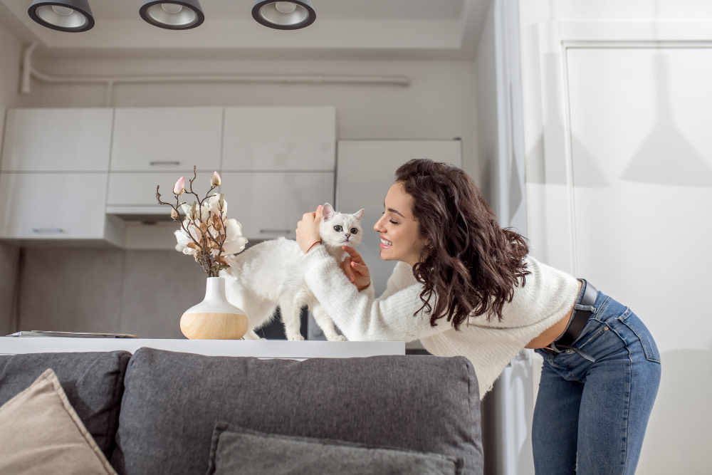 Things to Consider When Having a Pet in an Apartment
