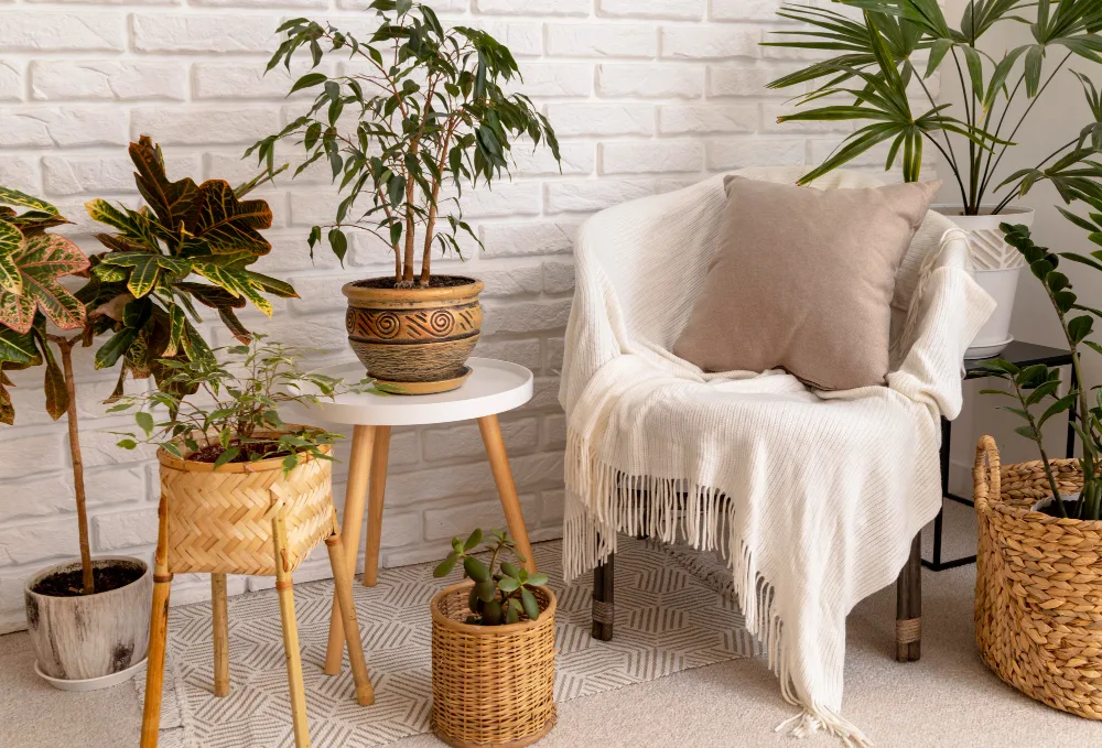Applying Boho Design in your Apartment