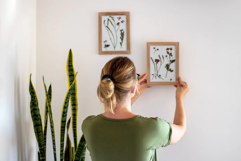 Unique Gallery Wall Ideas for Apartment Dwellers