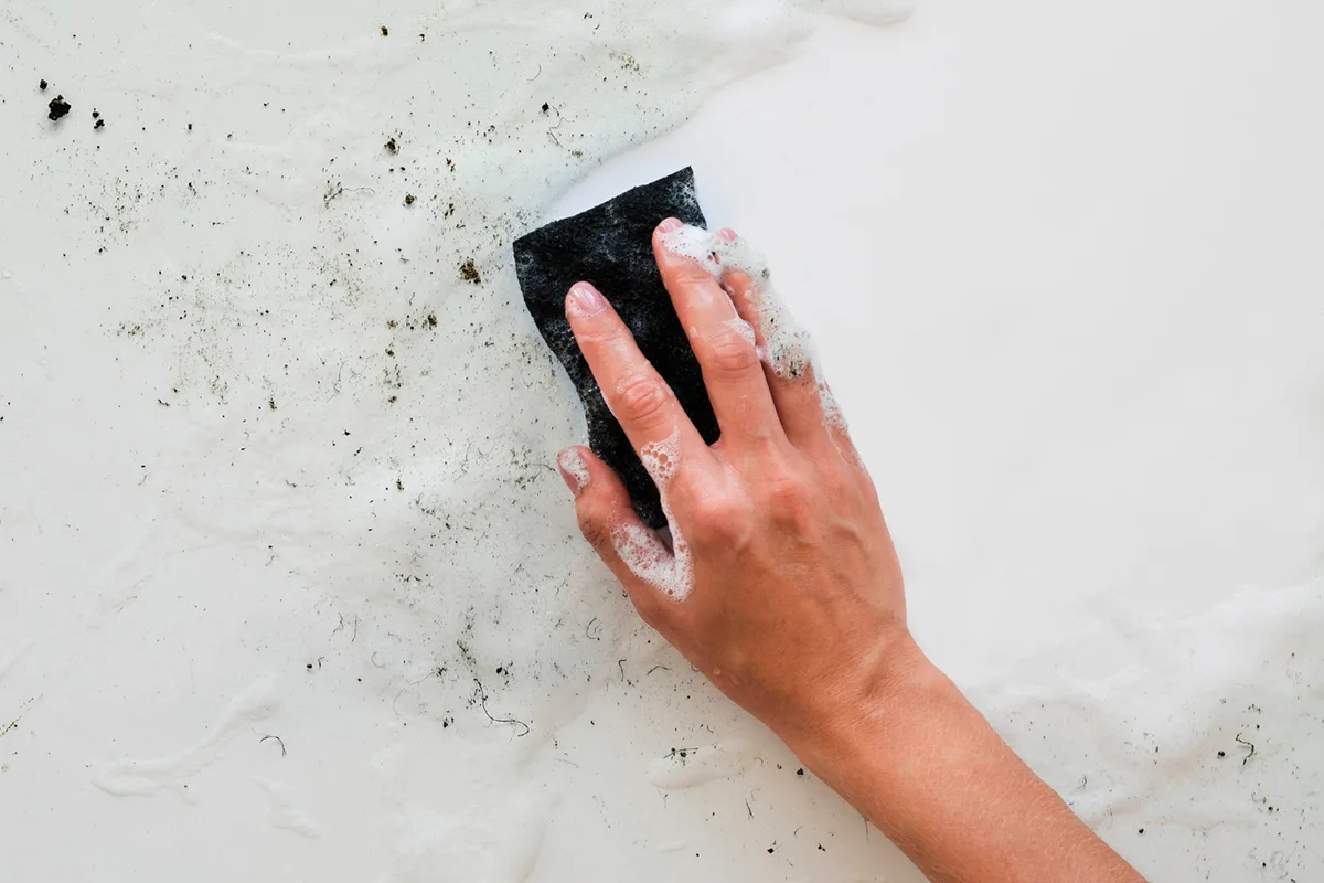 Solutions and Prevention of Molds in Your Apartment