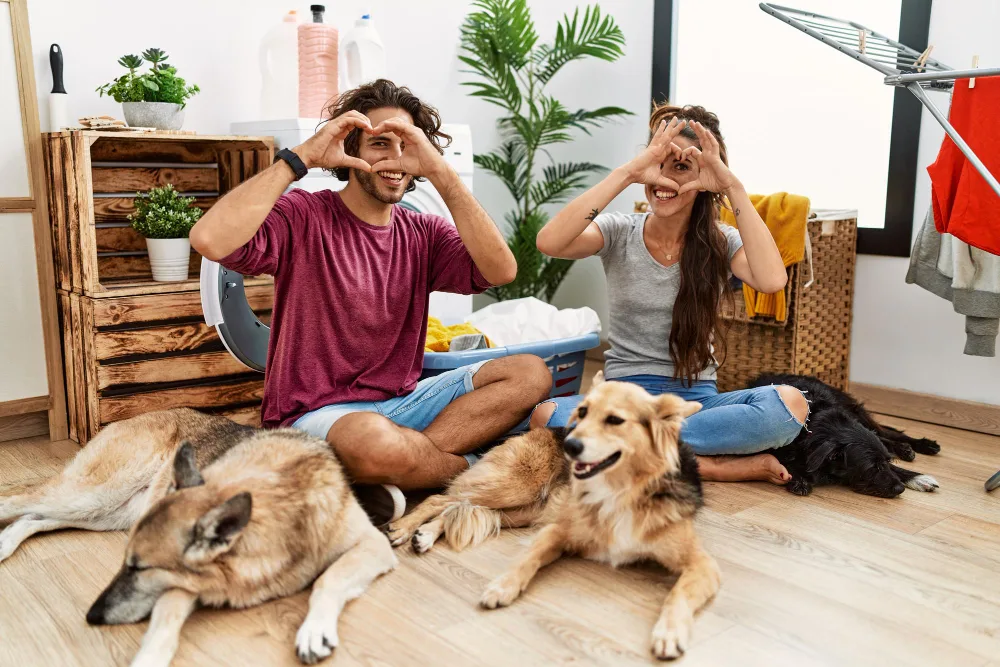 How to Make Apartment Living with a Pet Stress-Free